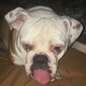 Meet your Posher, Brad